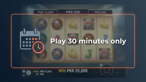 Payment and PKR controls in tiger888 - 6